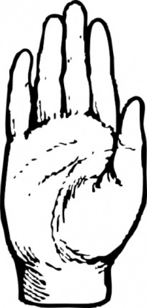 300x626 Right Hand Sketch Vector - Right Hand Sketch