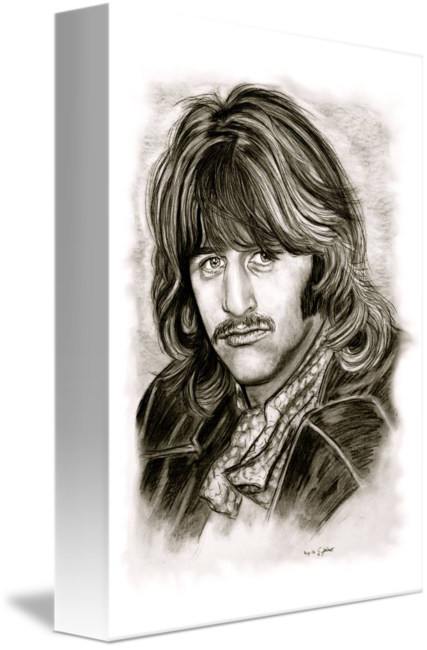 427x650 Ringo Starr In Black And White By Gitta - Ringo Starr Sketch
