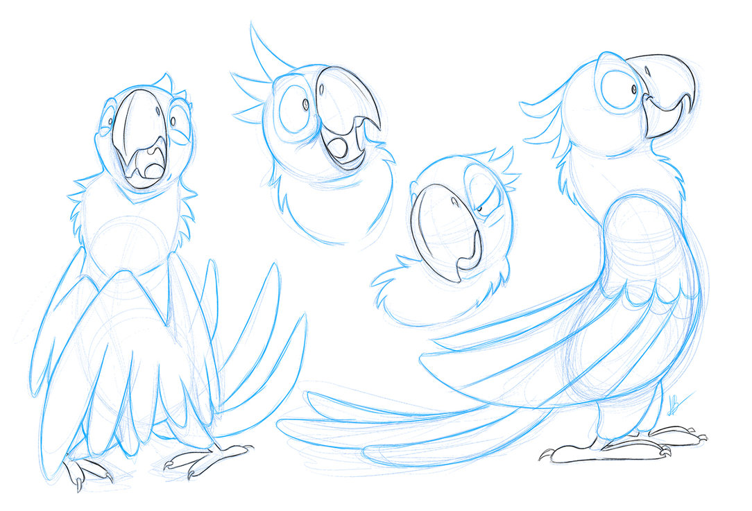 1084x737 Rio - Rio Sketch