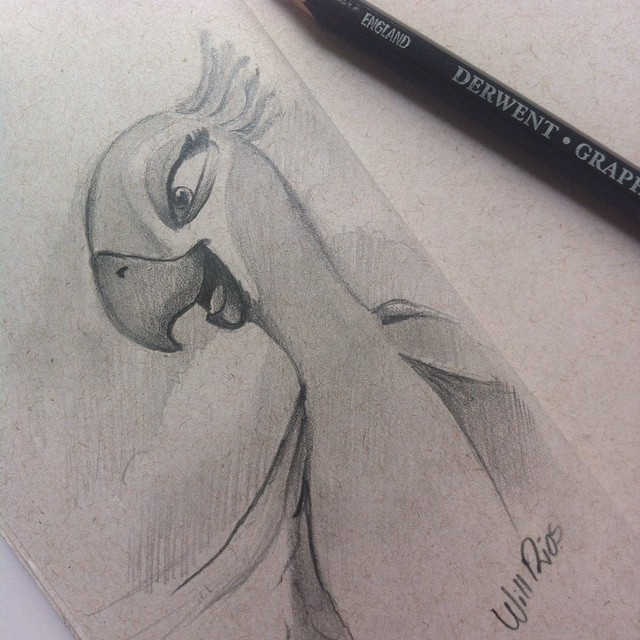 640x640 Sketch! - Rio Sketch