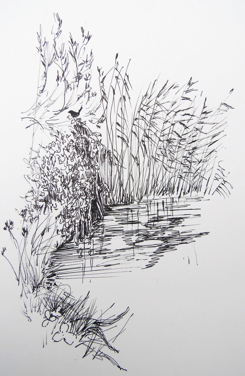 River Bank Sketch at PaintingValley.com | Explore collection of River ...