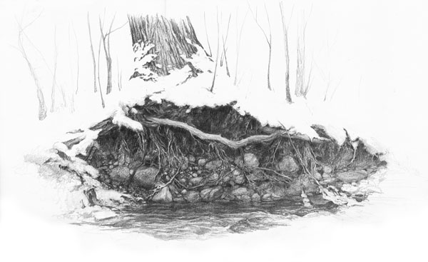 600x367 Streambank Drawing None My Website - River Bank Sketch