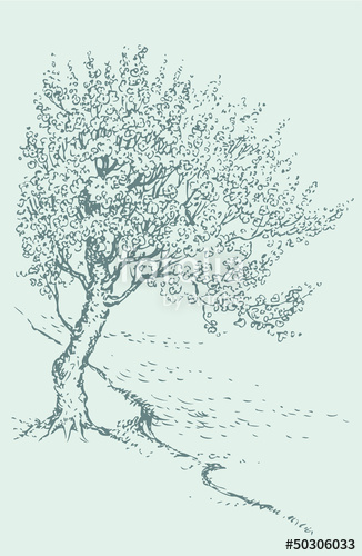 326x500 Vector Sketch Blossoming Spring Tree On The River Bank Stock - River Bank Sketch