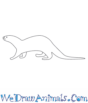 300x350 How To Draw An Otter - River Otter Sketch