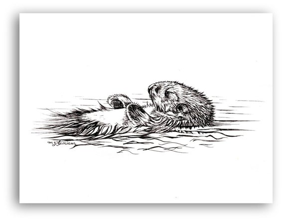 570x443 Otter Drawing Pen And Ink Floating Sleeping Otter Original Etsy - River Otter Sketch