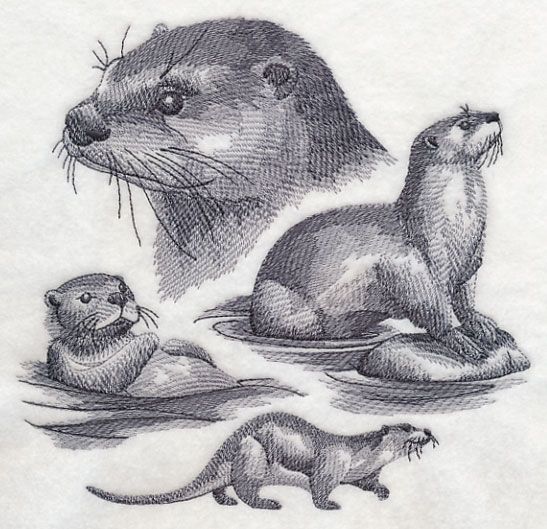 547x529 Otter Sketch Machine Embroiderycross Stitch - River Otter Sketch