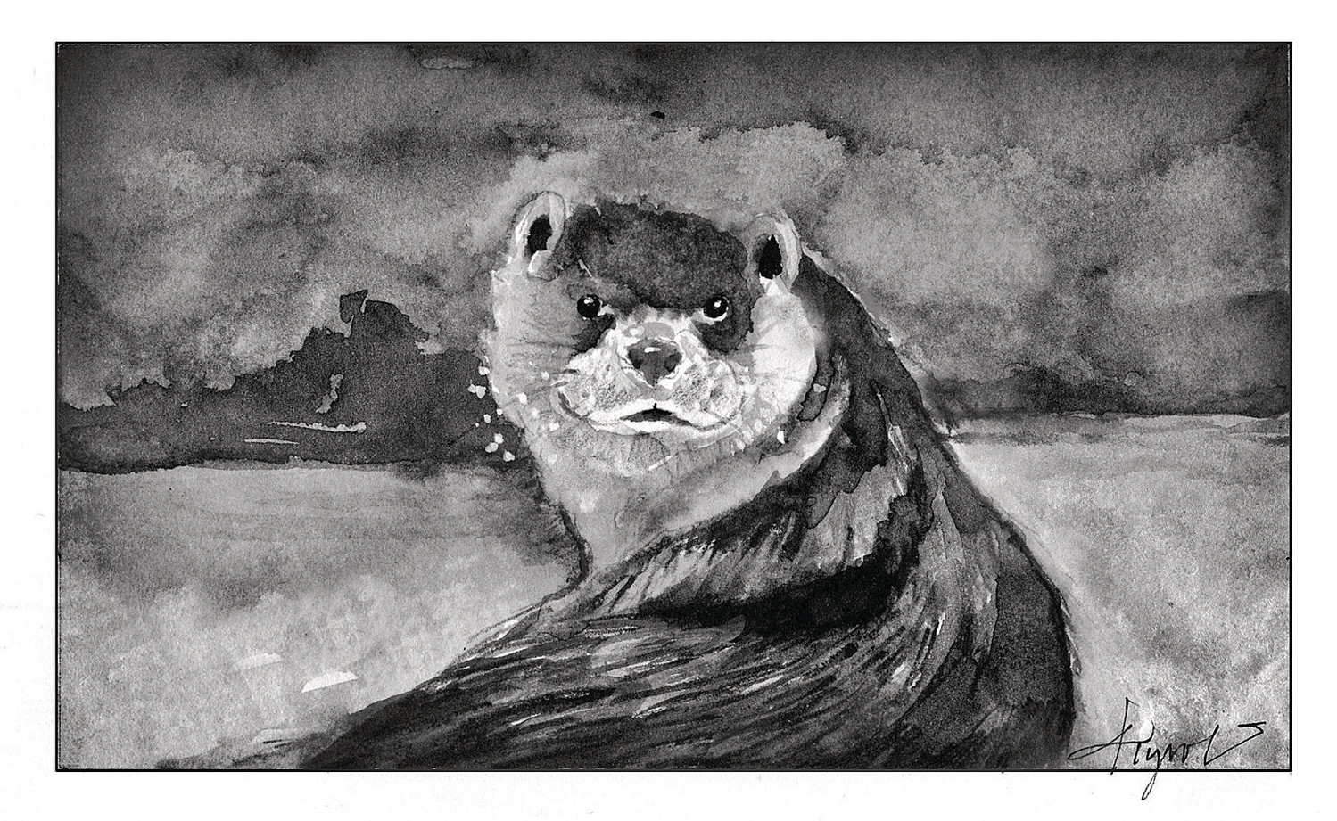 River Otter Sketch at PaintingValley.com | Explore collection of River ...