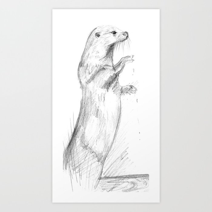 700x700 Totem River Otter (Lutra Lutra) Art Print By Natachapink Society6 - River Otter Sketch
