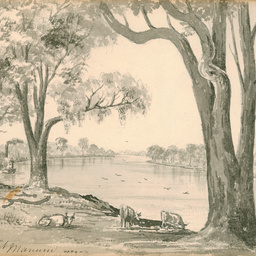 256x256 Album Of Sketches By R.e. Minchin Artwork State Library Of - River Sketch Images