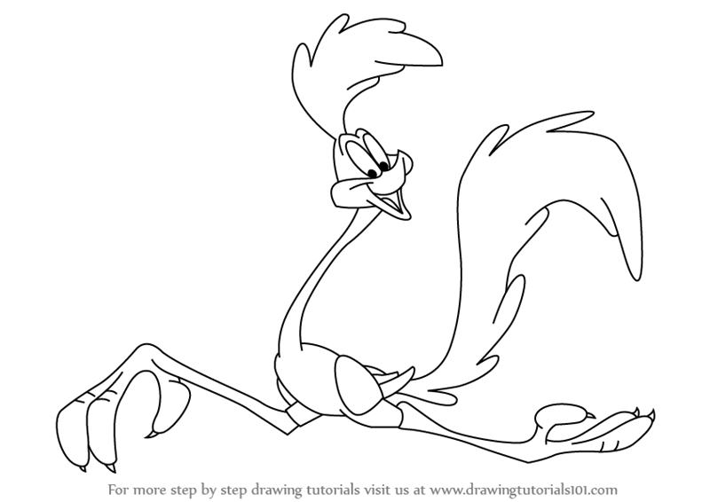 800x566 Learn How To Draw The Road Runner (The Road Runner) Step By Step - Road Runner Sketch