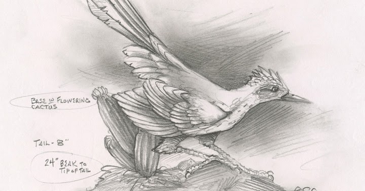 720x378 Sandy Scott Art - Road Runner Sketch