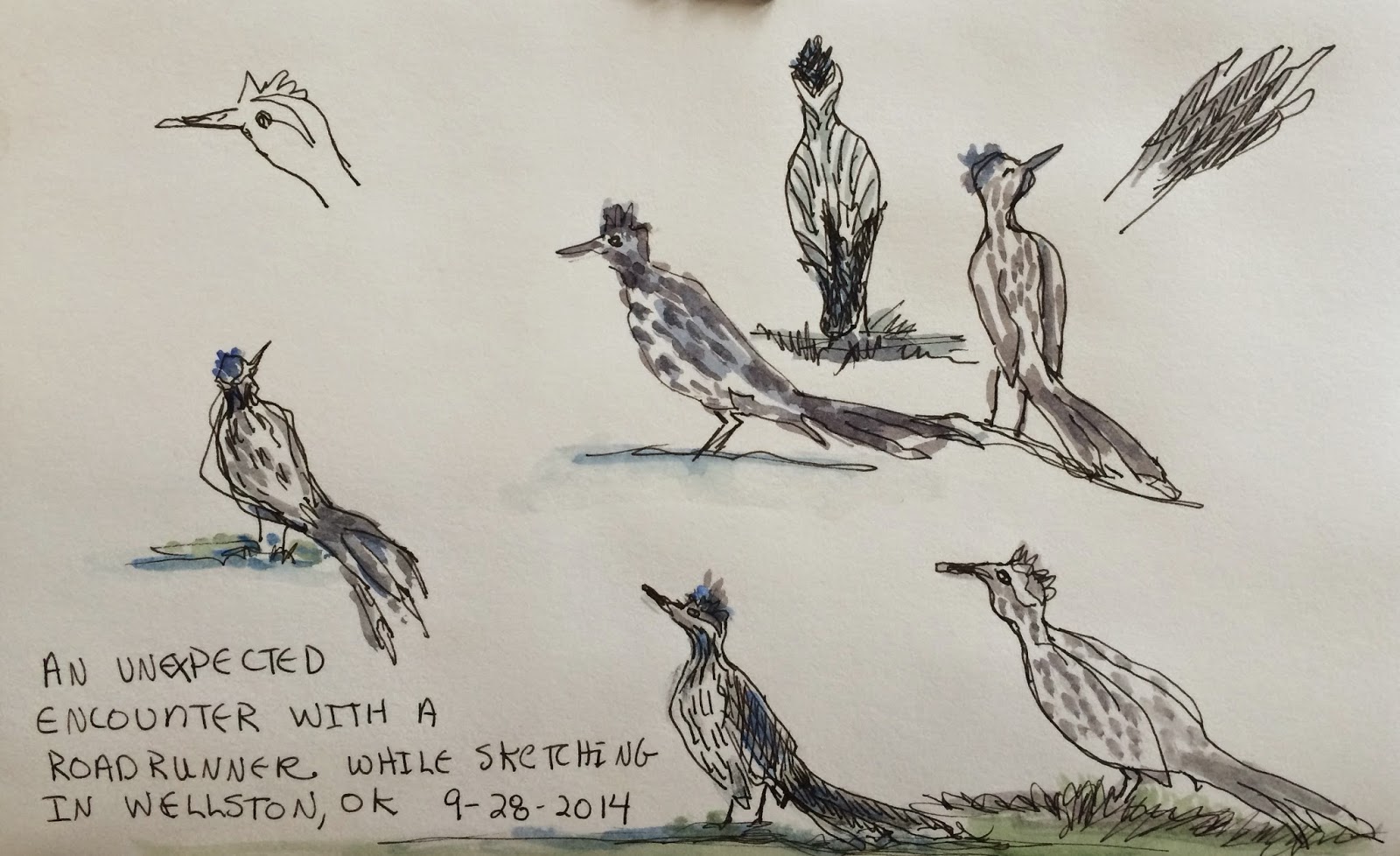 1600x978 Sketching Around October 2014 - Road Runner Sketch