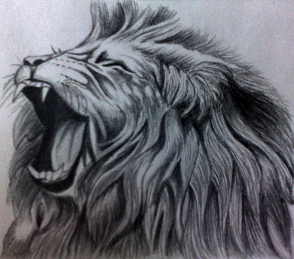 1024x904 Roaring Lion Pencil Drawing Lhel33246 - Roaring Lion Sketch