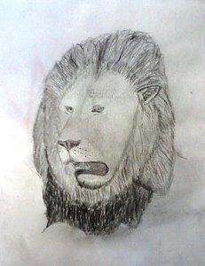 231x300 Roaring Lion Drawing By Carl Diers - Roaring Lion Sketch