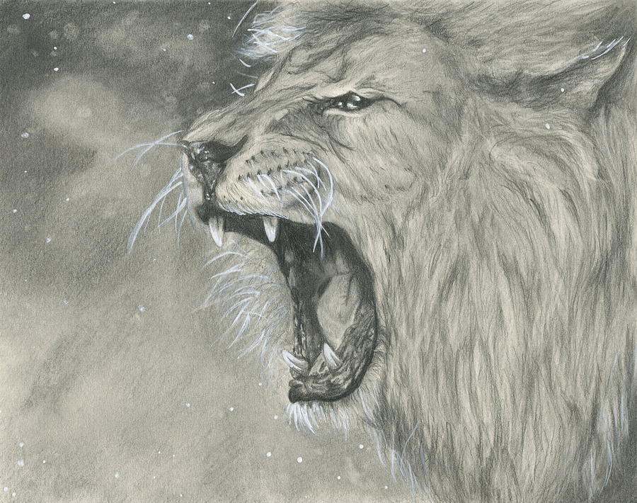 900x710 Roaring Lion Drawing By Raquel Ventura - Roaring Lion Sketch