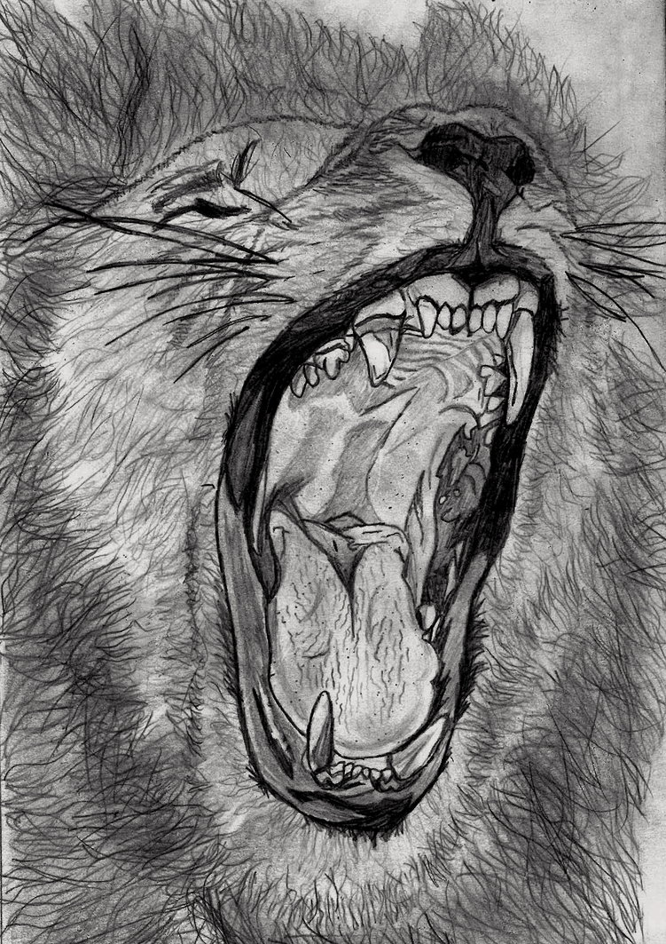 751x1063 Roaring Lion By Casey5000 - Roaring Lion Sketch