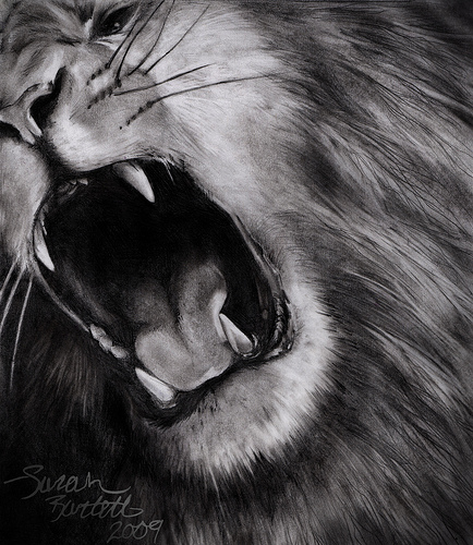 434x500 Zachariah Isabel Roaring Lion Face Clipart - Roaring Lion Sketch