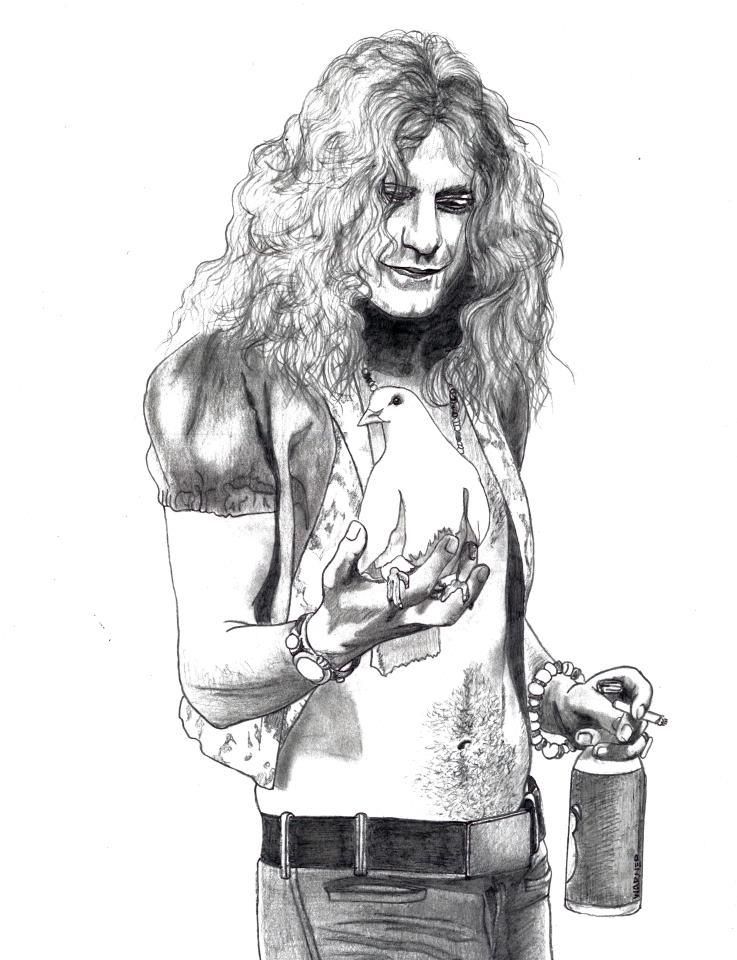 737x960 Robert Plant Rare Photos Of Music Celebrities 1 - Robert Plant Sketch
