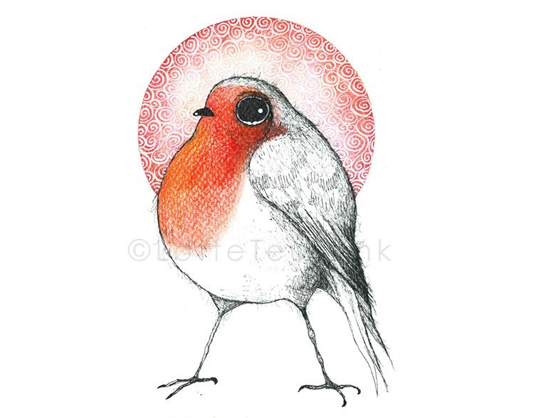 750x588 Original Illustration Of A Cute Bird, Whimsical Red Robin Drawing - Robin Bird Sketch