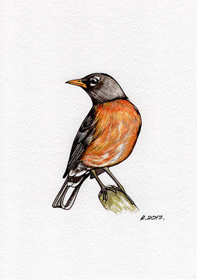 281x400 Robin Original Watercolor Painting Signed, Winter Bird Wildlife - Robin Bird Sketch