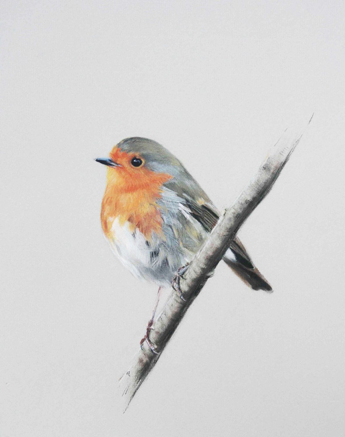 Robin Bird Sketch at PaintingValley.com | Explore collection of Robin ...