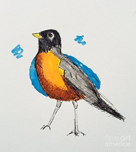269x300 Robin Bird Drawings - Robin Bird Sketch