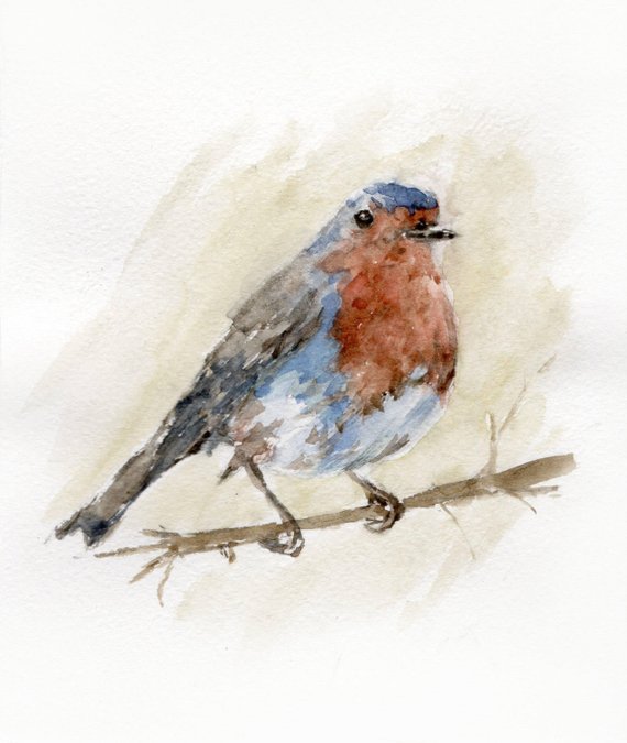 Robin Bird Sketch at PaintingValley.com | Explore collection of Robin ...