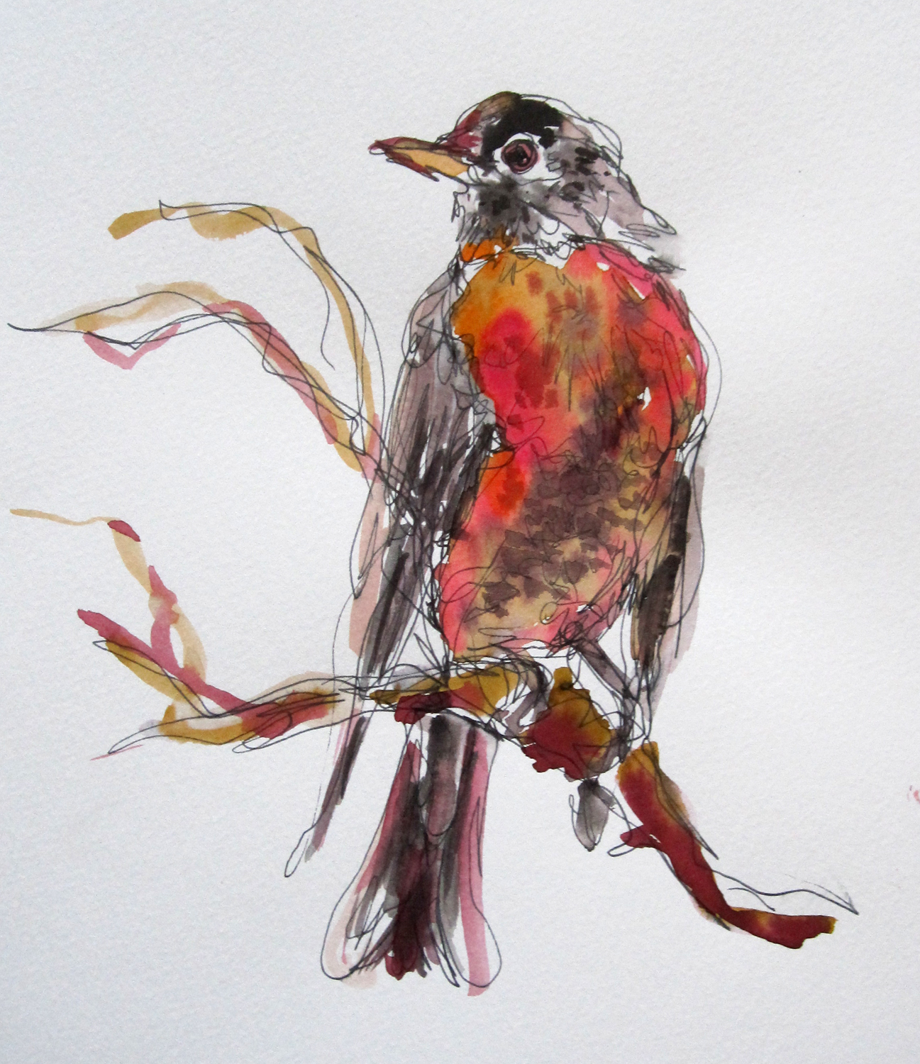 1297x1500 Robins (Draw A Bird Day) Method Two Madness - Robin Bird Sketch