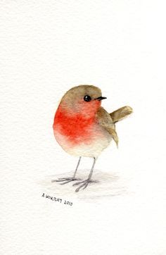 236x362 The 325 Best Bird Images In 2018 Watercolour - Robin Bird Sketch