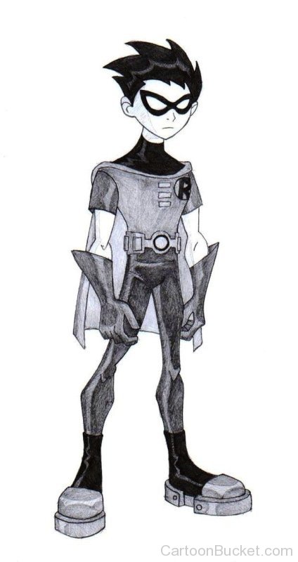 424x800 Sketch Of Robin - Robin Sketch