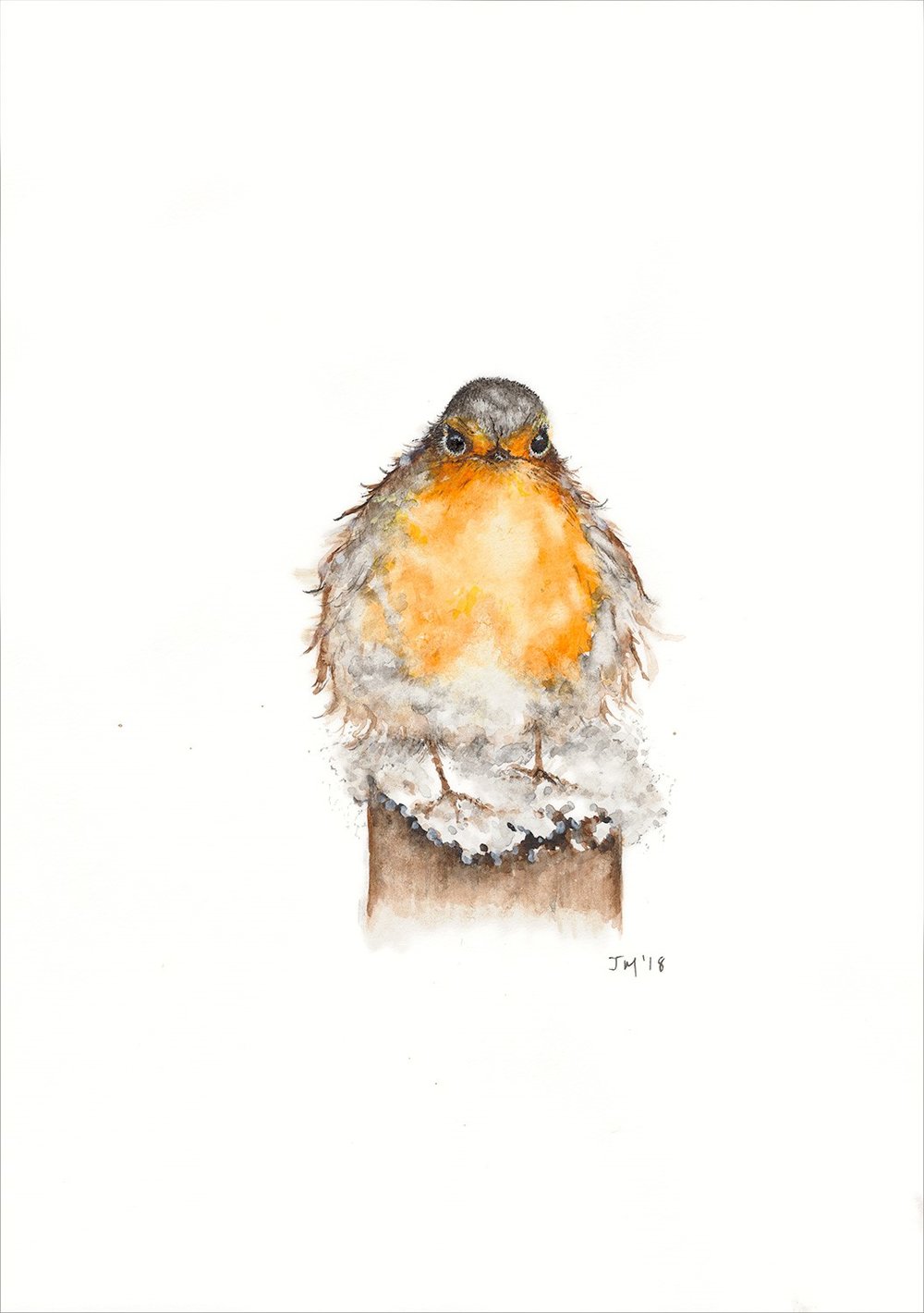 1000x1420 Snowy Robin - Robin Sketch