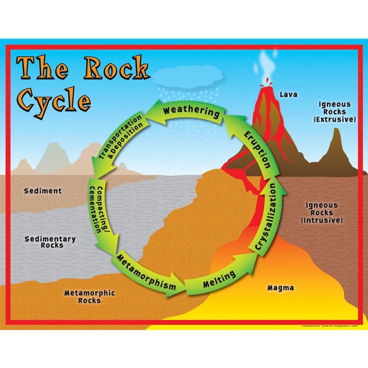 736x736 The Rock Cycle, Interactive Diagram, Touch This Picture Amp Learn - Rock Cycle Sketch