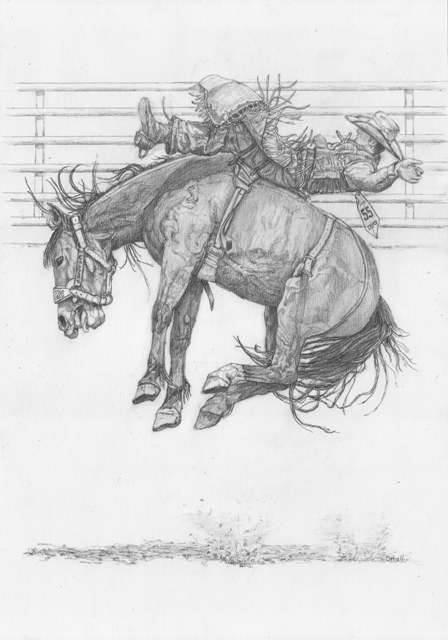 448x640 Rodeo Four Drawings - Rodeo Sketches