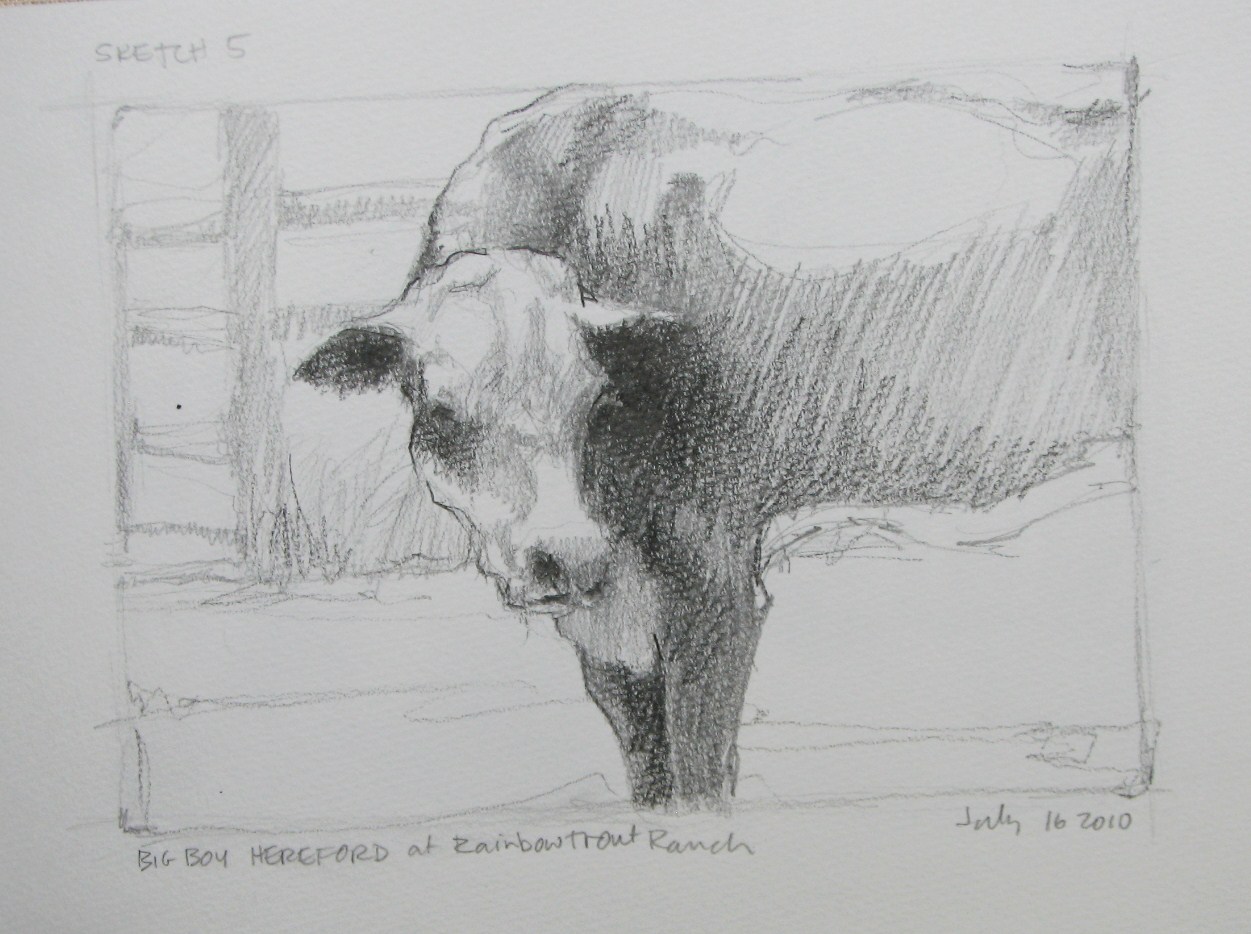 1251x934 V....vaughan Arts Sketch - Rodeo Sketches