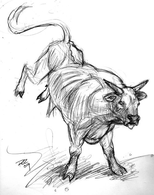 500x630 Easy Rodeo Drawings - Rodeo Sketches