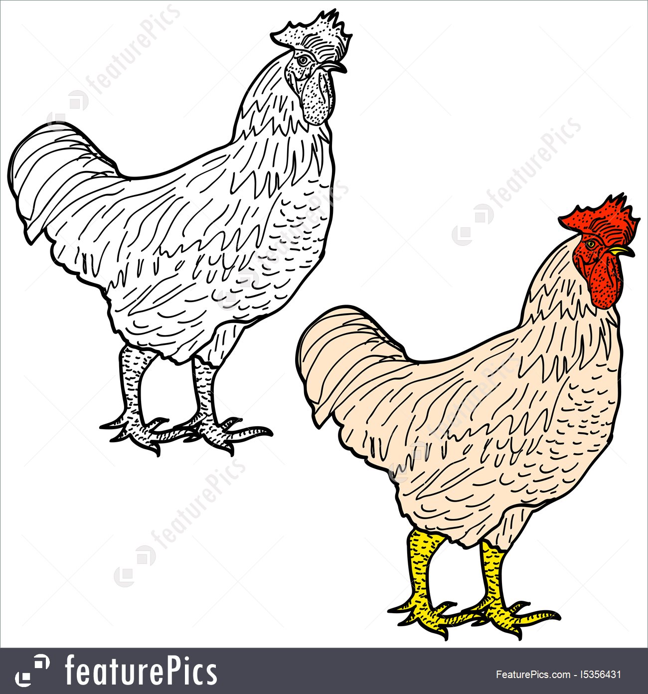 1300x1392 Illustration Of Rooster Sketch Isolated Icon. - Rooster Sketch