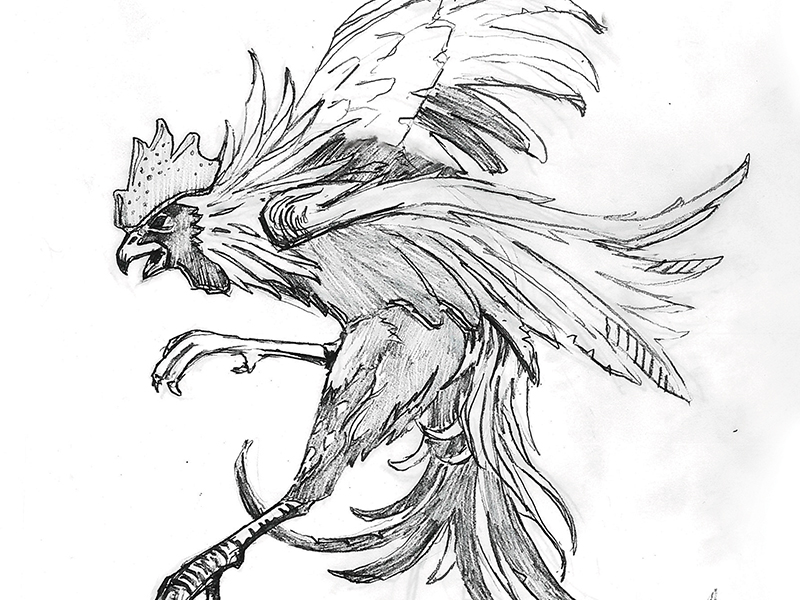 800x600 Process Sketch - Rooster Sketch