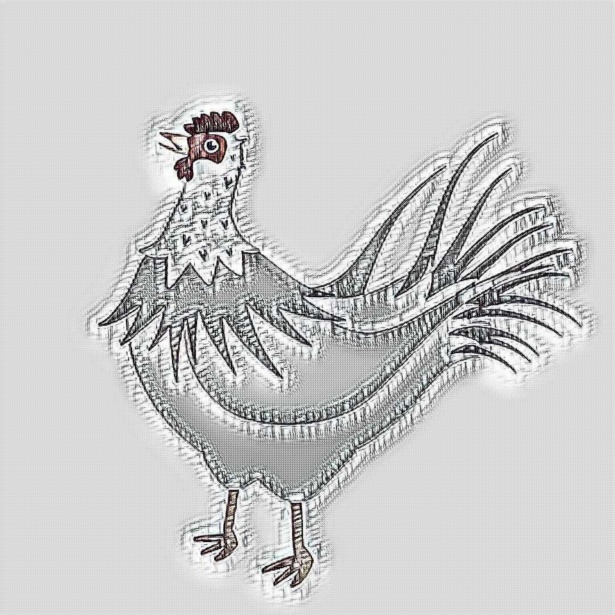 615x615 Rooster Sketch Free Stock Photo - Rooster Sketch
