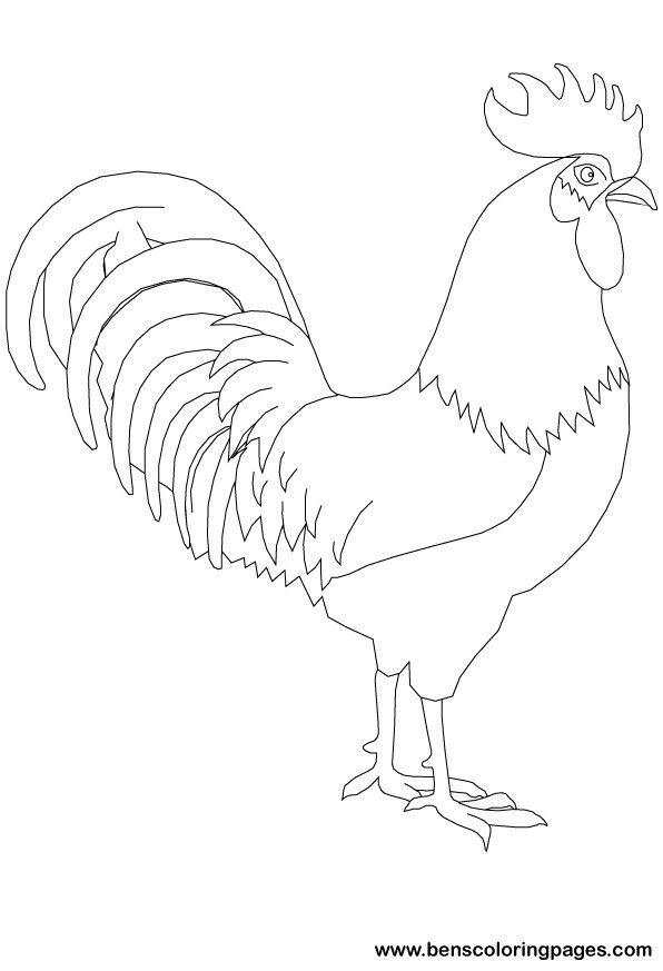 596x873 Free Rooster Pictures To Print To Print This Handout Please - Rooster Sketch