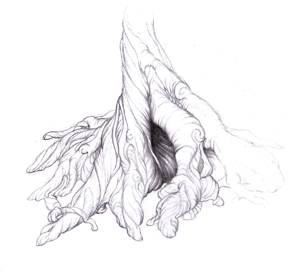 1000x912 Magellin . Blog Tree Roots Sketch - Roots Sketch