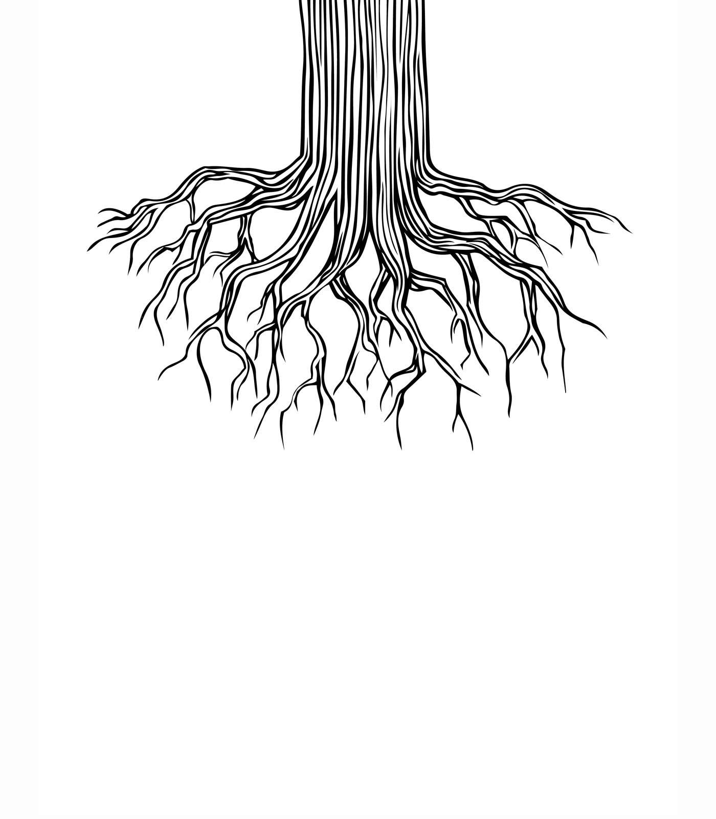 1400x1600 Tree Roots Drawing By Andrew Brennan - Roots Sketch