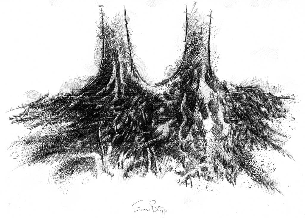 1024x735 Tree Roots Seanbriggs - Roots Sketch