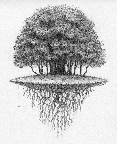 407x500 Roots Drawing - Roots Sketch