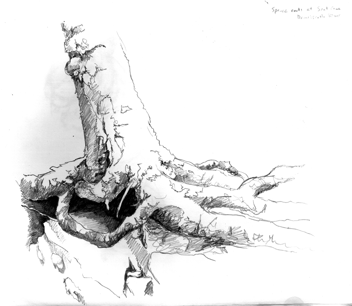 1200x1045 The Root Of The - Roots Sketch