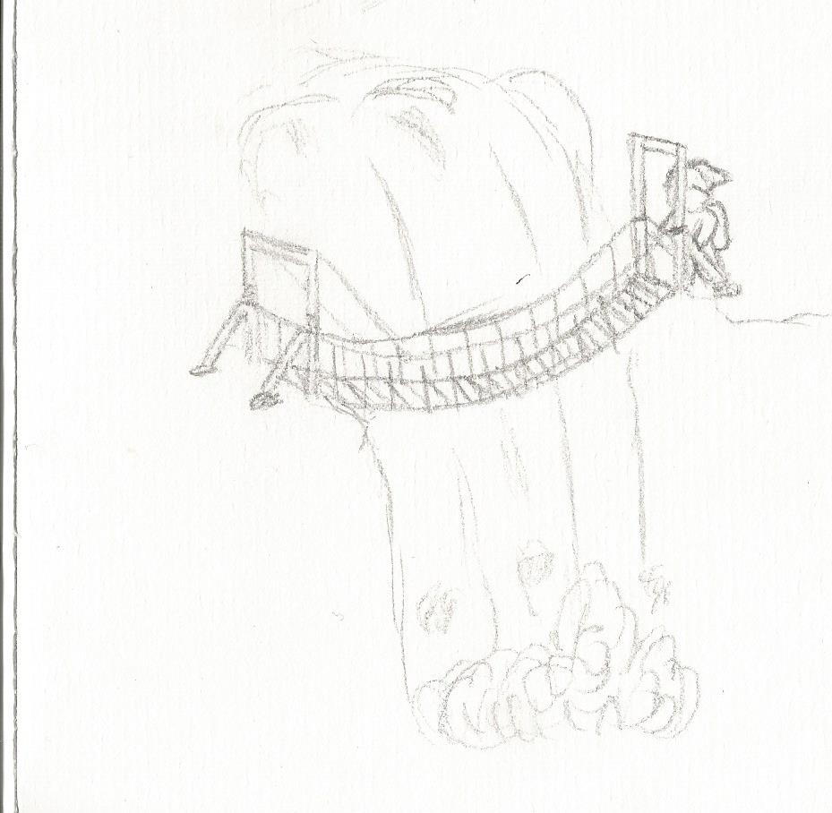 929x908 Bridge Brief Liberum Art - Rope Bridge Sketch