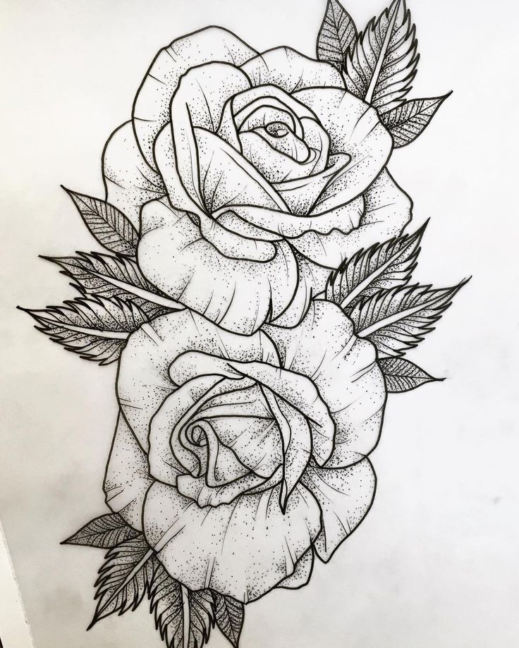 736x919 Available - Rosa Sketch