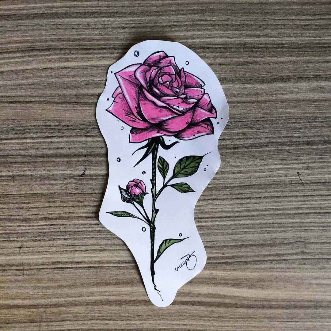 1080x1080 Rosa Sketch Inspirarte - Rosa Sketch