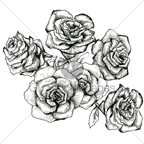 500x500 Flower Sketch Bouquet Gl Stock Images - Rose Bouquet Sketch