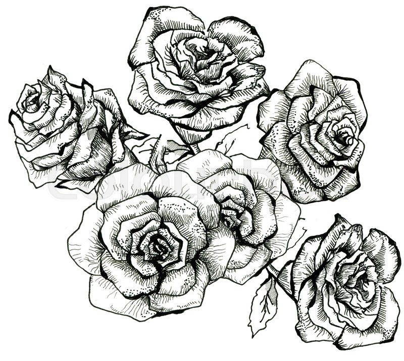 Rose Bouquet Sketch at Explore collection of Rose