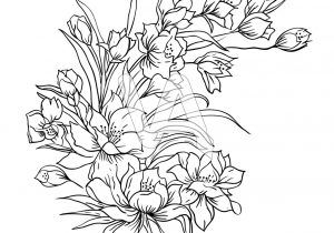 300x210 Flowers Bunch Sketch Images Line Drawing Flower Illustration - Rose Bouquet Sketch